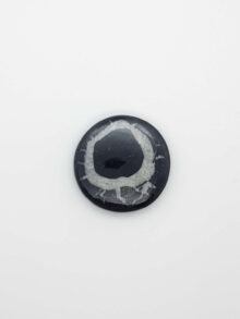 Septarie rond  cabochon 26,3×26,3x6mm