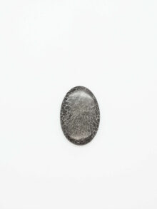 Stingray koraal ovaal cabochon 26,8×18,2×4,9mm
