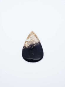Palmwortel (versteend) druppel cabochon 49,4x34x6mm