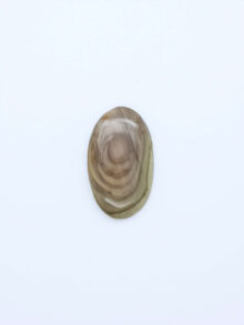 Imperial jaspis ovaal cabochon 30,2×18,1×5,5mm