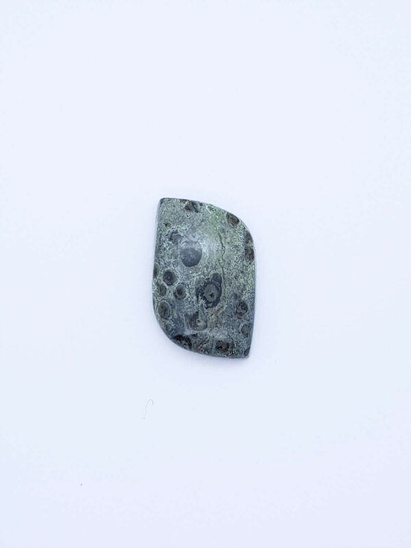 Kambaba jaspis vrije vorm cabochon 25x17,2x7,3mm