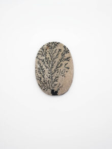 Dendriet ruw ovaal cabochon 55,4×39,4×6,3mm