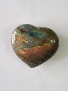 Labradoriet hart