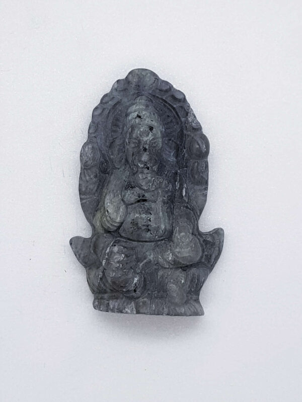 lab paars ganesha