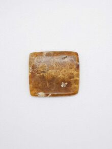 Fossiel koraal rechthoekig cabochon 28,4×31,5×4,1mm