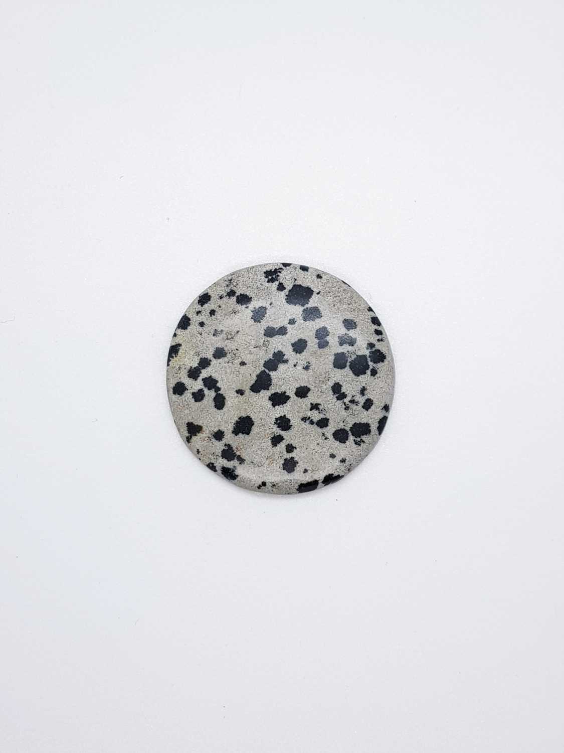 dalmatier jaspis
