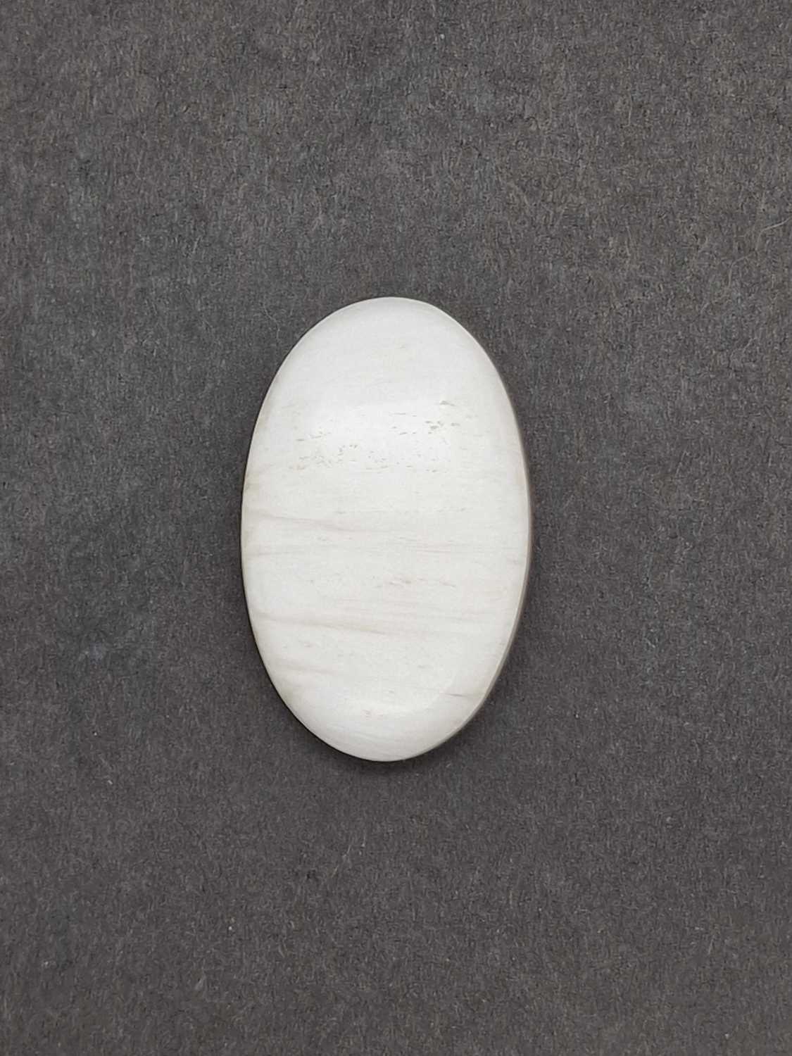 scoleciet