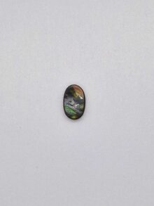 Ammoliet ovaal cabochon 16,7×10,8x4mm