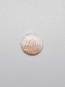 Scoleciet ronde cabochon 25,3×25,3×5,1mm